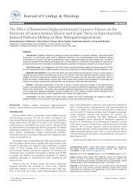 Check spelling or type a new query. Https Www Hilarispublisher Com Open Access The Effect Of Fermented Deglycyrrhizinized Liquorice Extract On The Structure Of Gastrocnemius Muscle And Sciatic Nerve Pdf