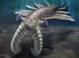 Anomalocaris a fost identificat greșit de mai multe ori, în parte datorită formării unui amestec de părți ale corpului mineralizate și. The Sharp Eyes Of Anomalocaris A Top Predator That Lived Half A Billion Years Ago