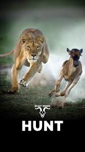 Beast Desire Wallpaper Wild Animals Photography Beast Quotes Animal Quotes