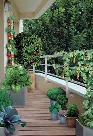 Un Jardin