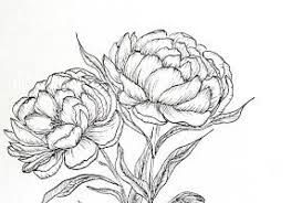 Check spelling or type a new query. Line Drawn Florals Step By Step Guide To Drawing Beautiful Peonies Krysten Lauren Skillshare