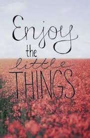 Image result for enjoy the little things quote