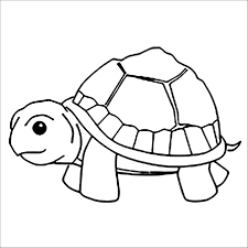 Discussions on ninja turtle color sheets turtle coloring pages for adults turtle coloring pages pdf. Picture Of A Turtle Coloring Page Coloringbay