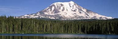 Obituary of Rose Marie Chamberlain