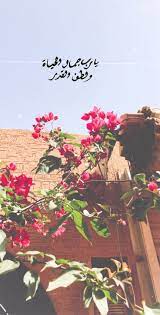 pin by wadha on طبيعه sky photography nature cover photo quotes nature photos