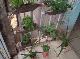 comment reutiliser les bouteilles plastiques pour la production agricole youth ict 4 sustainable agriculture plants