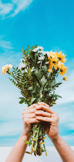 This pin was discovered by neliya. Spring Wallpapers For Iphone Hd Quality Spring Backgrounds Anastasia Spring Wallpaper Spring Background White Flowers
