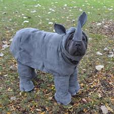 Whatever you need, whatever you want, whatever you desire, we provide. 14 Costumes That Prove Shar Pei Always Win At Halloween The Paws