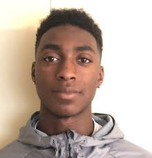 Holland Sentinel All-Area Boys Lacrosse Team