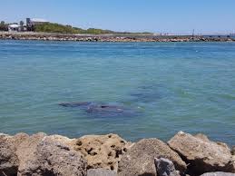 Sebastian inlet state park is a florida state park located 10 miles south of melbourne beach and 6 miles north of vero beach in florida. Camping And Fishing At Sebastian Inlet State Park Review Of Sebastian Inlet State Park Melbourne Fl Tripadvisor