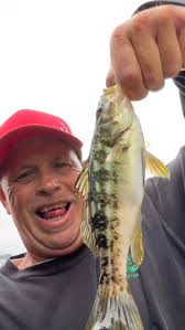 Crushed em yesterday