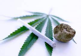 Efectele fumatului de iarba ce se întâmplă, de fapt, în corpul tău când fumezi iarb. Tulburarile Legate De Consumul De Cannabis Hasis Marijuana