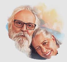 Which zinnia seeds should I buy to grow large flowers?