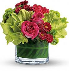 The coupon codes are not valid for commercial licenses and logos. Modesto Exotic Flowers