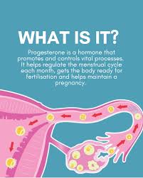 Image result for Progesterone