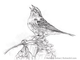 Maybe you would like to learn more about one of these? Print Of Original Black White Pencil Drawing Of Sparrows Charcoal Drawing Birds On Tree Branch Drawing Illustration Art Collectibles Vadel Com