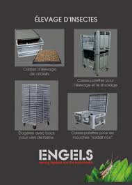 Elevage D Insectes Engels