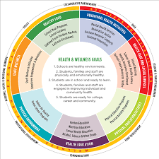 Buying health insurance for the first time seems confusing at first. Health Wellness Welcome