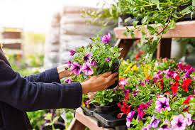 Epsom salt is a mineral salt which is chemically identified by the international union of pure and applied chemistry as magnesium sulfate. Tips And Tricks For Shopping The Home Depot Garden Center