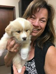 Karsten fostvedt in september of 1989. St Francis Pet Clinic Home Facebook