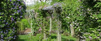 Könnten sie sich einen garten und eine mauer ohne pflanzen vorstellen? Der Garten Am Blockbohlenhaus Kletterpflanzen Als Gestaltungselemente Hansagarten24