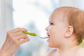 Menu Diario Para Bebes De 6 A 9 Meses Pequerecetas