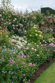 Colorful flower borders in an english garden, tattenhall edition. 11 Rose Border Garden Ideas Flower Garden Garden Design Garden