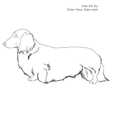 Longhaired dachshunds in this photo gallery all share a playful. Longhaired Dachshund Dog Coloring Page Dog Coloring Page Dog Line Drawing Toy Story Coloring Pages