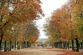 Photos, address, and phone number, opening hours, photos. Jardin Du Luxembourg Autumn 2 Une Femme D Un Certain Age