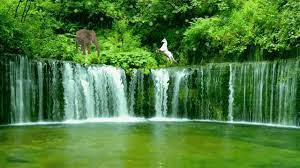 Animated gif find share on giphy from giphy.com. Waterfall Nature Gif Waterfall Nature Unicorn Discover Share Gifs