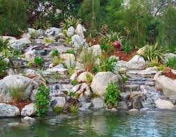 Make an adorable fairy garden out of a broken pot. Teich Bepflanzung Das Garten Lexikon Der Pflanzenfamilien Von Floristik24