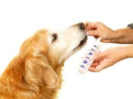 For many pet meds, a better bet is your local pharmacy. Pets And Medication Errors