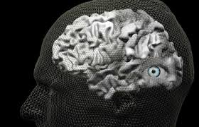 We would like to show you a description here but the site won't allow us. Http Www Frontiersin Org Files Ebooks 188 Assets Pdf Mental 20imagery Pdf