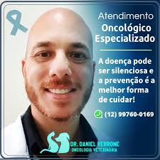 Instagram photo by Daniel Verrone