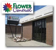 We did not find results for: Flower Central Minot Nd Facebook