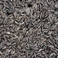 The announcement on the b2b wholesale foodstuffs marketplace. New Crop Raw Roasted Sunflower Seeds For Sale