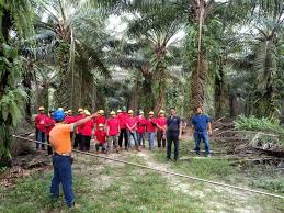 Among all these types of business companies, the most highly preferred one by both the local and foreign investors is the private limited company or commonly known as sendirian berhad. Program Latihan Penuaian Antara Kerajaan Negeri Pahang Facebook