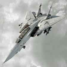 F14 Tomcat 3d Model In 2020 F14 Tomcat Photo Wall Art 3d Model