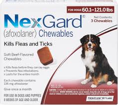 nexgard chewable tablets for dogs 60 1 121 lbs 3 treatments red box