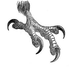 Vintage Clip Art Eagle Talon Creepy Foot Halloween The Graphics Fairy In the past 3 months, we've been working hard to optimize eagle, and we would like to explicitly express our thanks to every users that brought their suggestions and feedbacks. vintage clip art eagle talon creepy