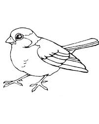 Robin Bird Coloring Pages Bird Drawings Animal Coloring Pages Bird Coloring Pages