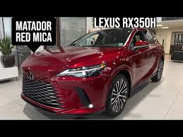 Image result for Matador Red Pearl 2009 RX