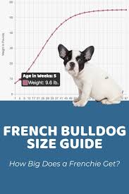 We did not find results for: Homepage Puppy Weight Calculator