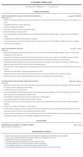So, what do project managers actually do? Asset Management Officer Resume Sample Mintresume