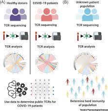 Deciphering The Tcr Repertoire To Solve The Covid 19 Mystery Trends In Pharmacological Sciences