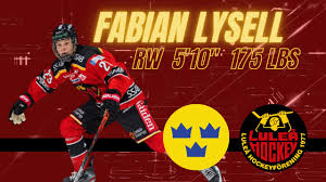 Nov 07, 2019 · bob mckenzie's 2021 final draft ranking show. 11 Prospects Ranked 9th By The Experts In The 2021 Nhl Draft Vancouver Is Awesome