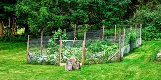 When it comes to backyard fence design ideas, don't succumb to the ordinary and fence yourself in. Great Garden Fence Ideas For 2017 How To Build A Garden Fence