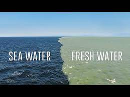 This doesn't necessarily mean they don't have the same power. Fresh Water Meets Sea Water Boundary Explained Youtube