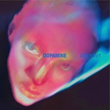 Fontaines D.C. - Dopamine Chamber - Reviews - Album of The Year