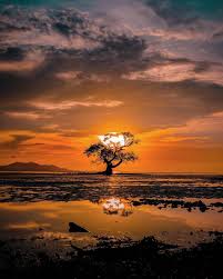 Check out this fantastic collection of pemandangan wallpapers, with 44 pemandangan background images for your desktop, phone or tablet. 15 Foto Tempat Wisata Bukti Keindahan Alam Indonesia